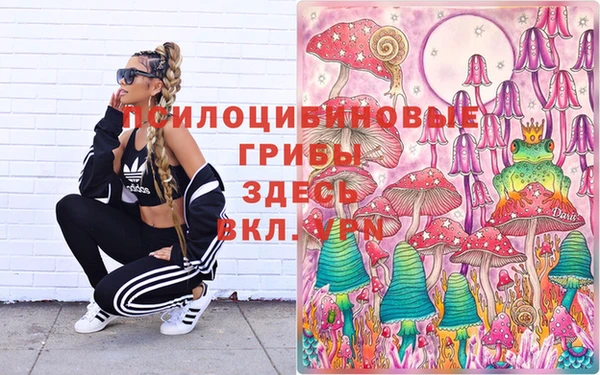 эйфоретик Алзамай