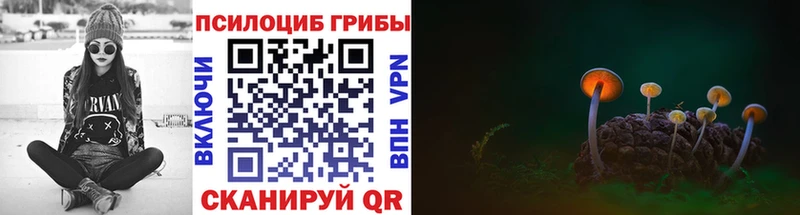 Псилоцибиновые грибы прущие грибы  Кудрово 
