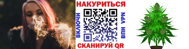 Каннабис семена  Кудрово 