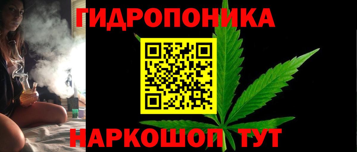 Бошки Шишки OG Kush Кудрово